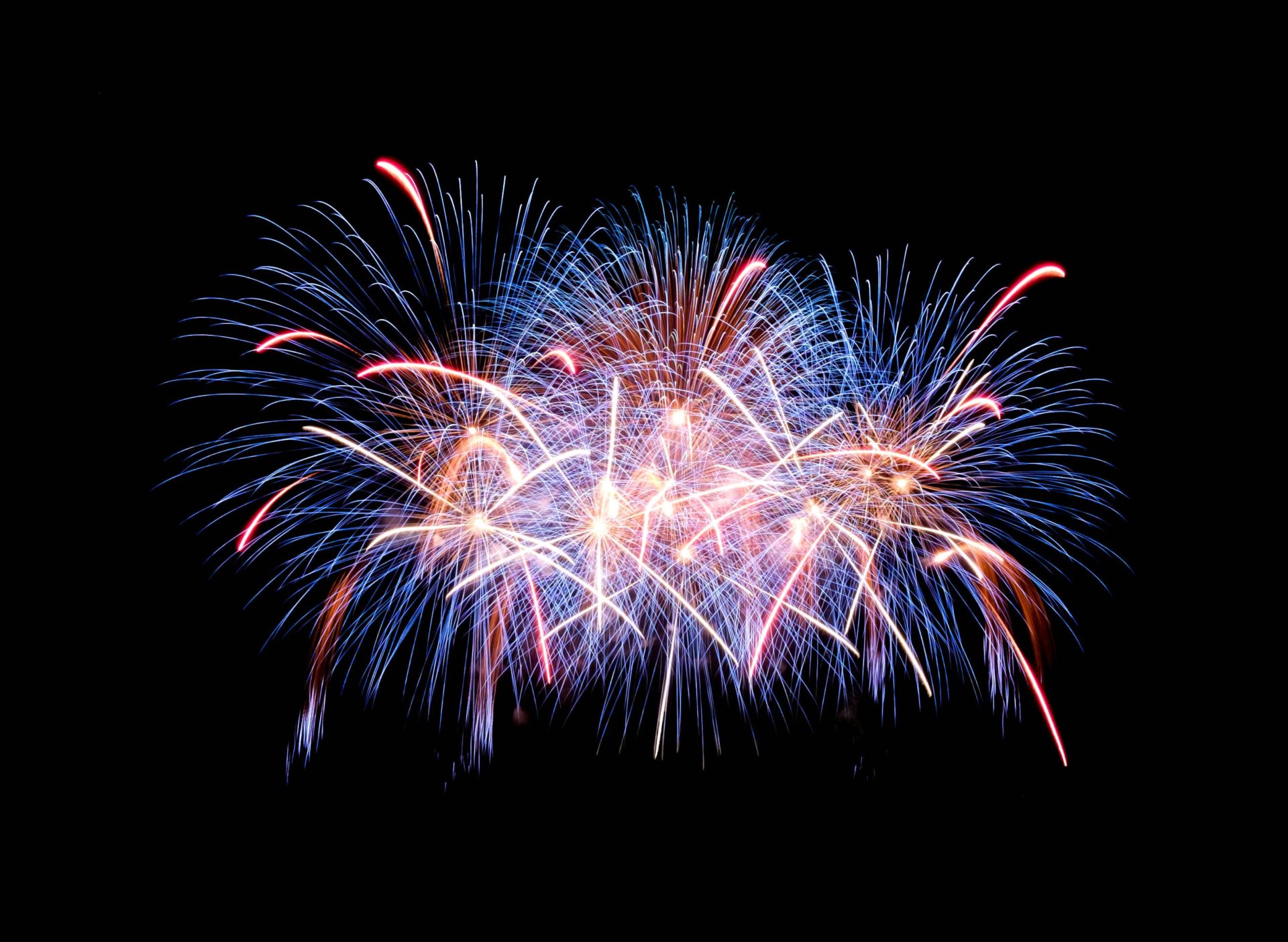 Fireworks in the sky